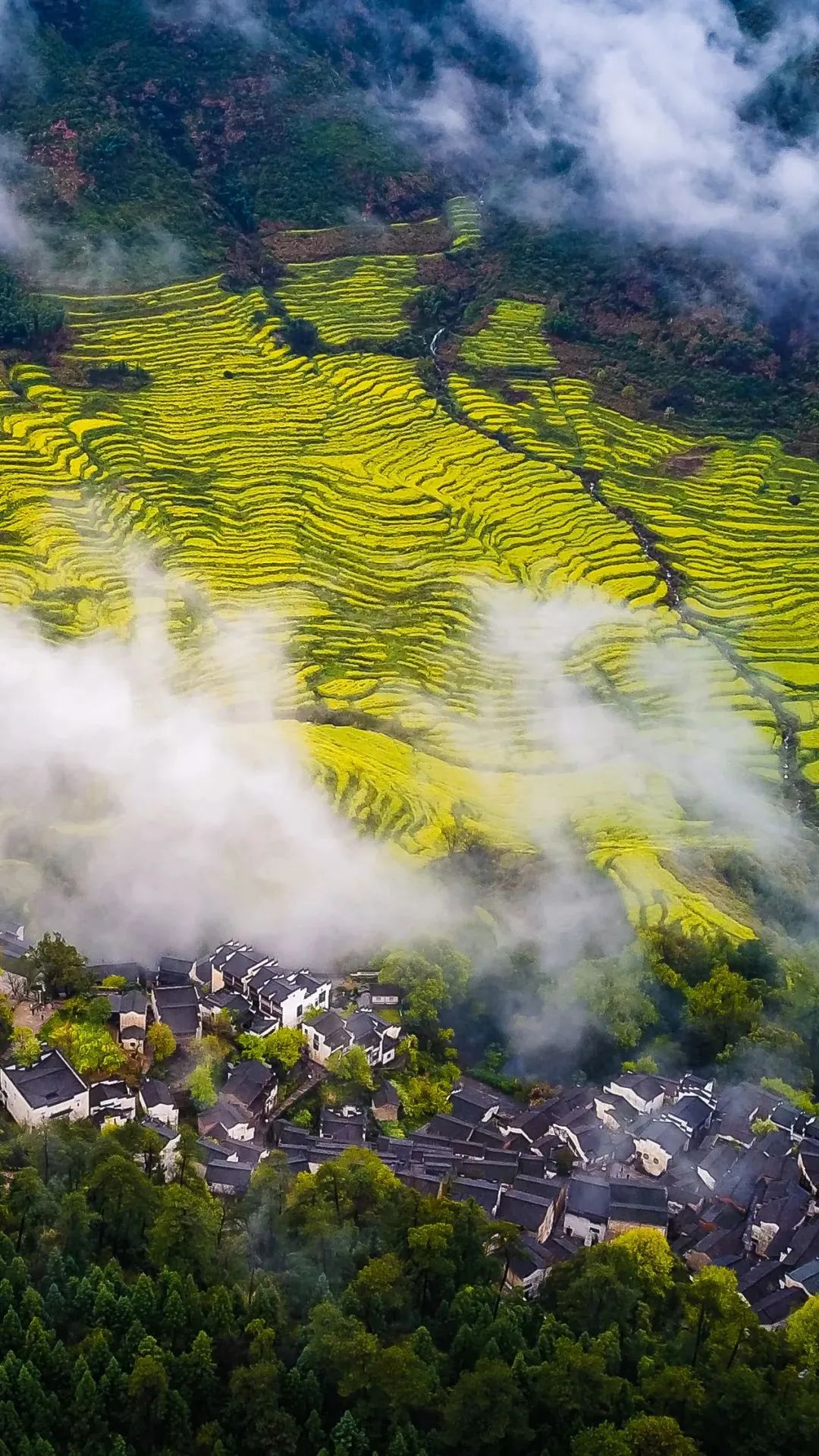 江西，梦想起航之地，翅膀翱翔的天空