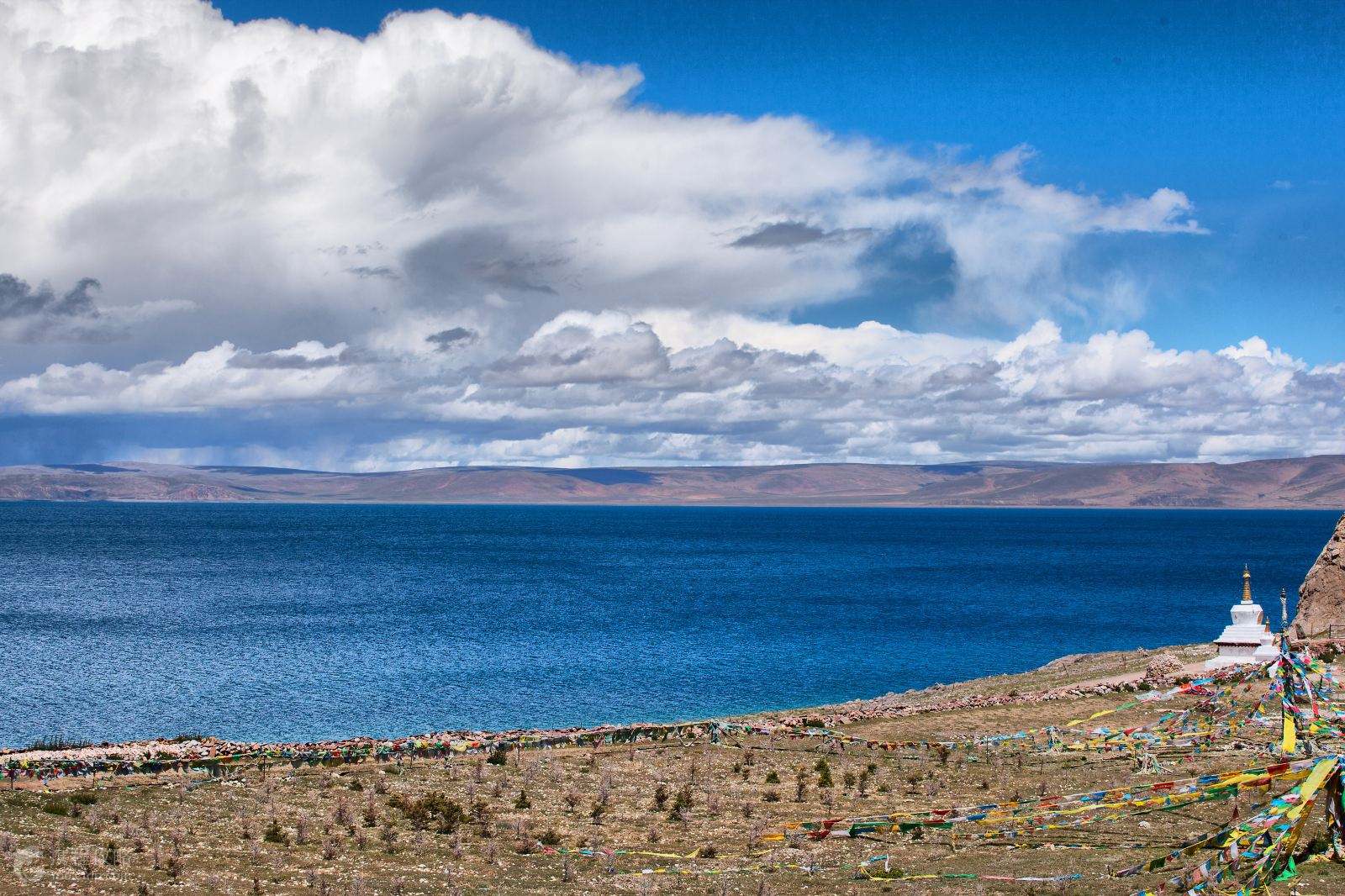 探寻西藏，神秘圣地的魅力之旅