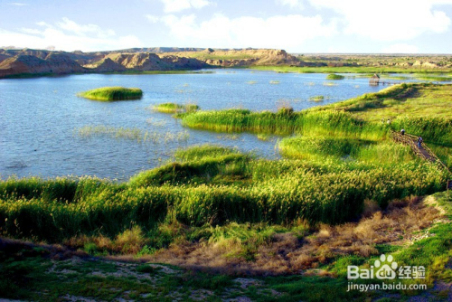 宁夏,绿色发展典范,民族团结家园