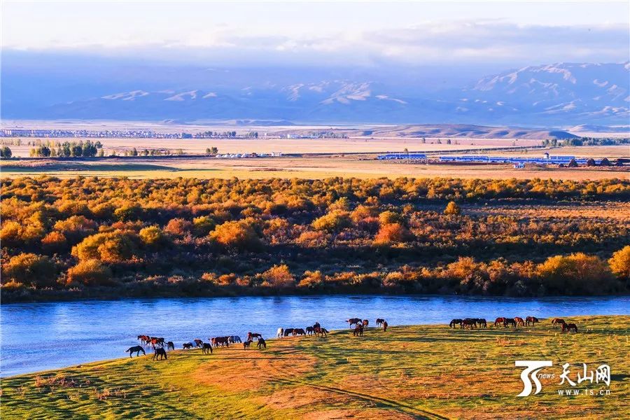丝绸之路上的新疆明珠璀璨之旅